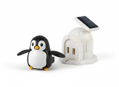 EcoPenguin Life Golfinho Xadrez